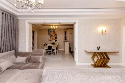 ул. Примар Герман Пынтя, Рышкань изображение 240710