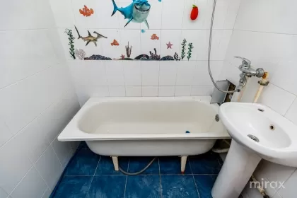 bd. Cuza Vodă, Botanica, Chișinău imaginea 234518