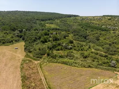 с. Морозены, Орхей, Молдова изображение 228777