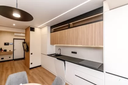 ул. Каля Ешилор, Буюканы, Кишинев изображение 239533