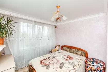 str. Luceafarul, Dobrogea, Sîngera imaginea 237009