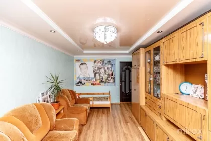 str. Luceafarul, Dobrogea, Sîngera imaginea 237013