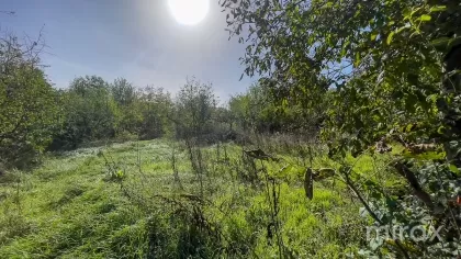 IP Livada-Vis, Ialoveni, Chișinău image 187329