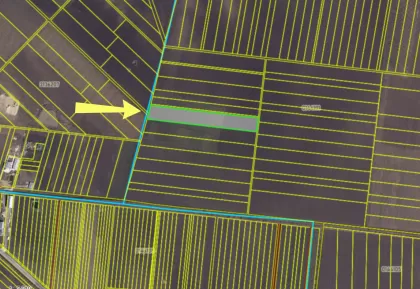 s. Cruzești, mun. Chișinău imaginea 235924