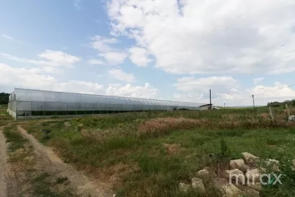str. Mălăiești, Criuleni, Chișinău image 93804